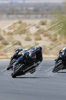 media/May-14-2023-SoCal Trackdays (Sun) [[024eb53b40]]/Turn 5 Tree of Life (1125am)/